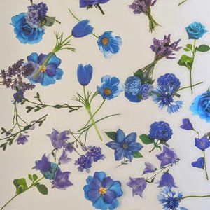 Pack 40 pcs stickers mix transparent flower and plants nature d…